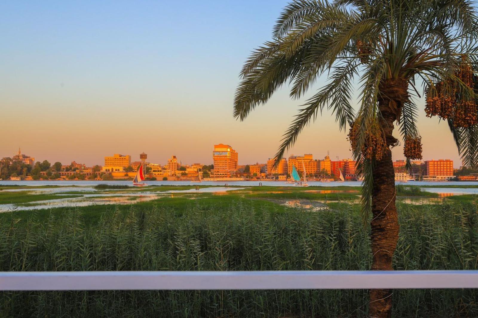 Royal Nile Villas - Pool View Apartment 2 Luxor Esterno foto
