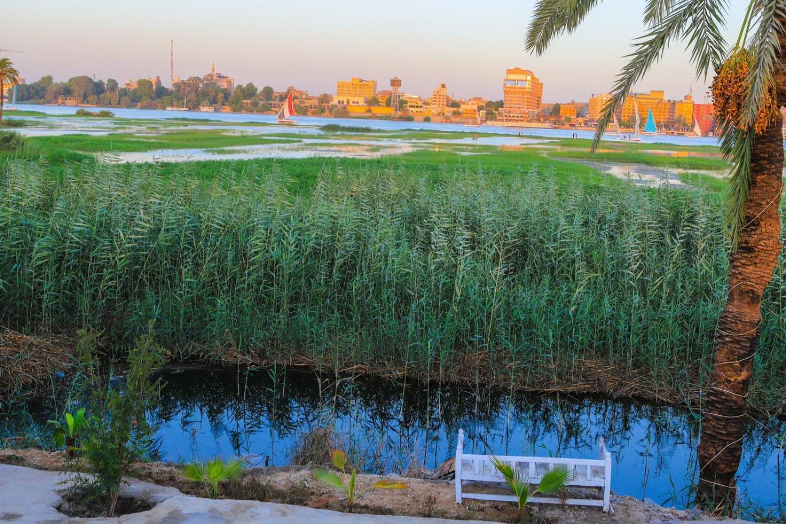 Royal Nile Villas - Pool View Apartment 2 Luxor Esterno foto